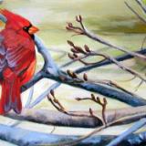 Cardinal