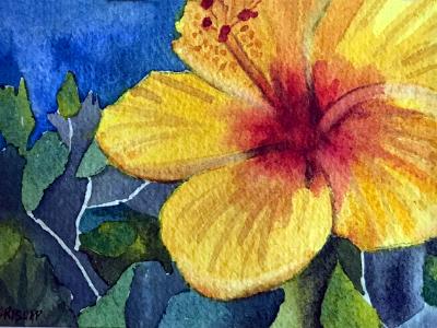 Yellow Hibiscus Yellow Hibiscus