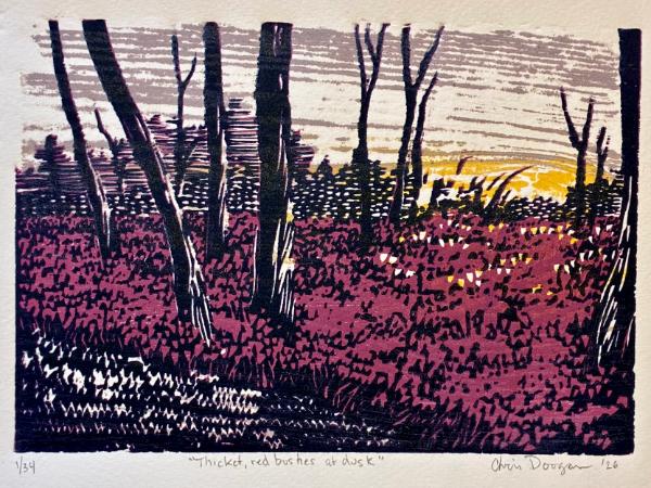 "Thicket, red bushes at dusk"