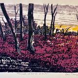 "Thicket, red bushes at dusk"