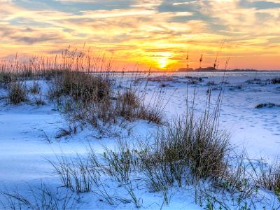 National Seashore Seaoats Sunset National Seashore Seaoats Sunset