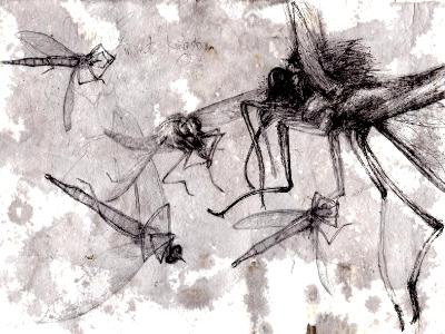 Ode to the Insect Kingdom Ode to the Insect Kingdom