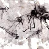 Ode to the Insect Kingdom