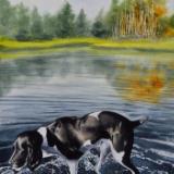 Dog in the lake Mcdonald, 38cm x 56cm, 2020