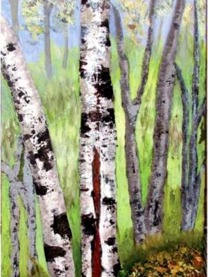 Birch Opening