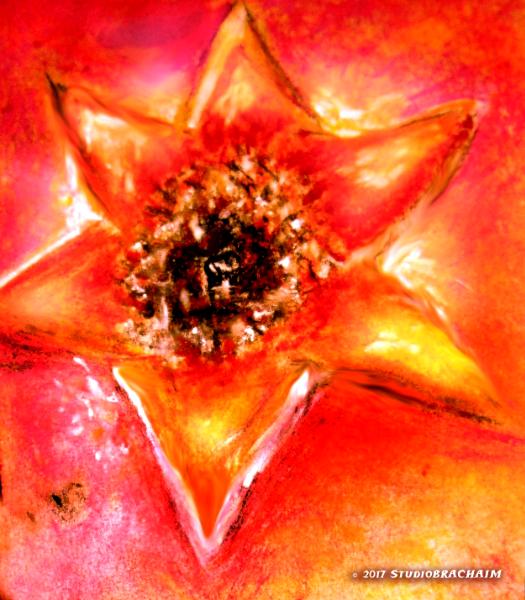 Pomegranate Flower