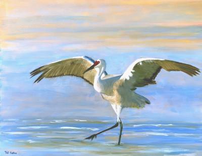 sandhill crane dancing