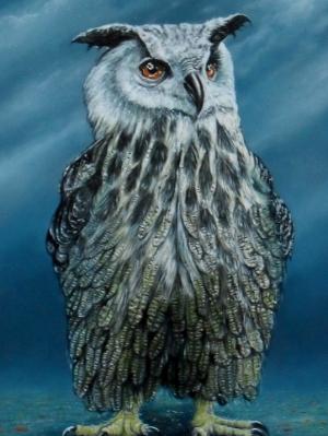 Owl Owl