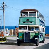 The 381 Bus to Dover Heights