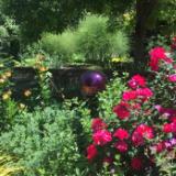 Lavone Newell-Reim, Abstract Painter, Writer and Gardner Lavone Newell-Reim, Abstract Painter, Writer and Gardner