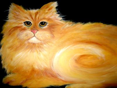 Yellow Tabby SOLD Yellow Tabby SOLD