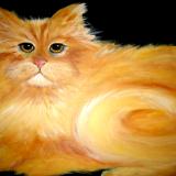 Yellow Tabby    SOLD