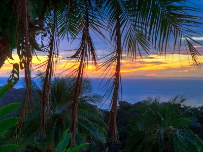 Palm Tree Sunset HDR Palm Tree Sunset HDR