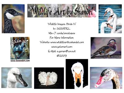 Note Cards: Birds IV--Shore Birds