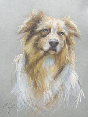 Ausy 16x20" pastel Ausy 16x20" pastel