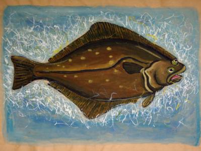 Atlantic Halibut Atlantic Halibut