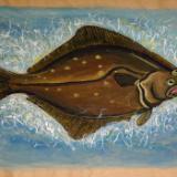 Atlantic Halibut