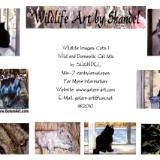 Note Cards: Cats I--Wild and Domestic Mix