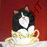 Cat in a Teacup