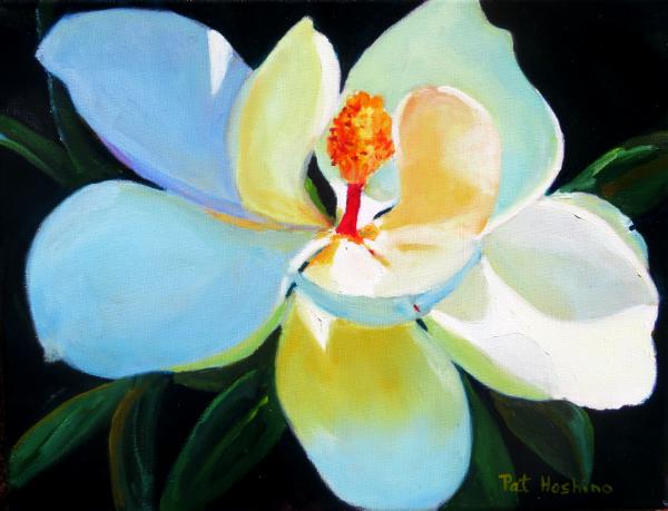 magnolia - oil - 11x14
