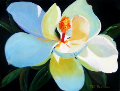 magnolia - oil - 11x14 magnolia - oil - 11x14