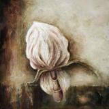 Orchid
