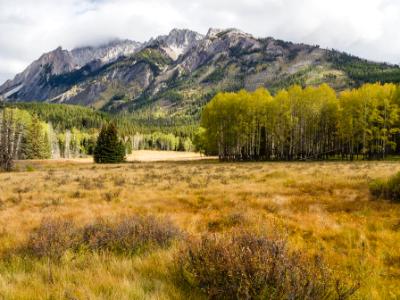 Hillsdale Meadow and Mt. Ishbel Hillsdale Meadow and Mt. Ishbel