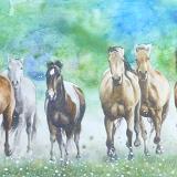 Wild horses, 120cm x 60cm, 2014