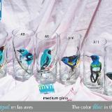 Set of handpainted glasses: BLUE BIRDS