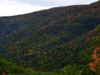 Kaaterskill Clove