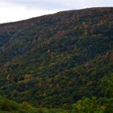 Kaaterskill Clove