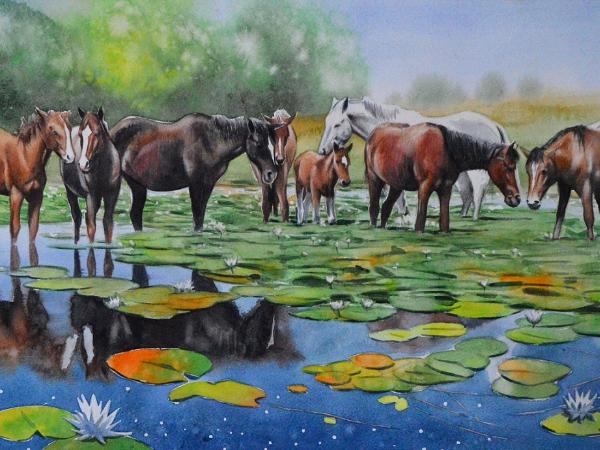 The Danube Delta horses, 38cm x 56cm, 2021