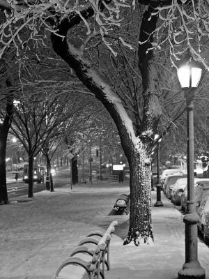 Eastern Parkway First Snow Eastern Parkway First Snow