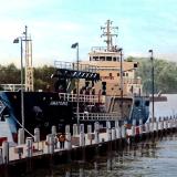 "Anatoma" Fuels the Yard