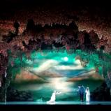 Swan Lake forest