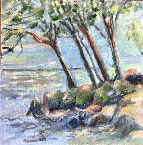 Trees at Bronte