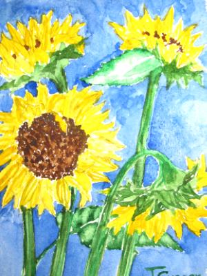 sunflowers in vase