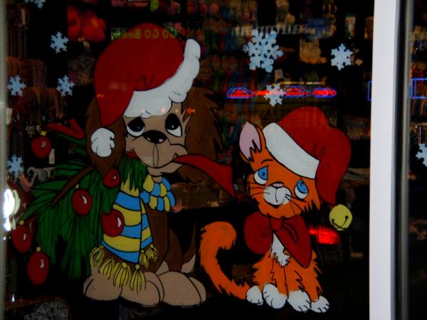 Puppy and kitten with santa hats