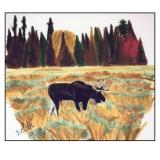19 - moose outside jackson hole, wyoming 19 - moose outside jackson hole, wyoming
