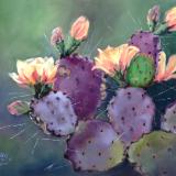 Cactus Bloom SOLD