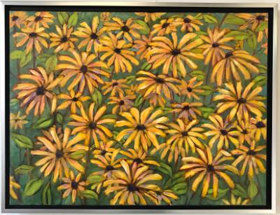 Colebrook Susans Colebrook Susans