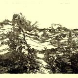 (6)Cliff Detail