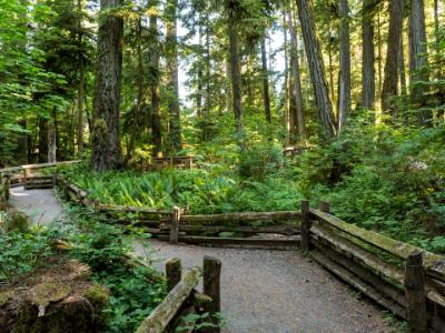 MacMillan Provincial Park Trails MacMillan Provincial Park Trails