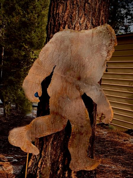 Rusting Bigfoot