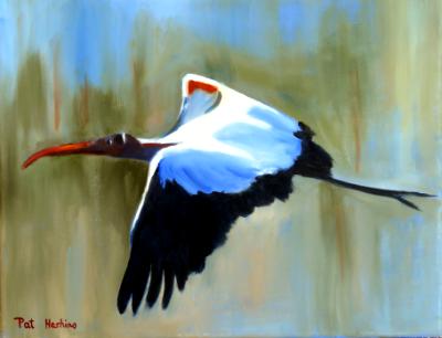 Woodstork in Flight SOLD