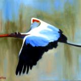 Woodstork in Flight SOLD