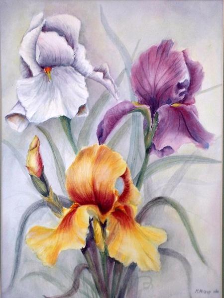 Irises