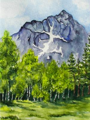 Mt. Tallac Spring Mt. Tallac Spring