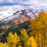 Golden Aspens and Snowy Red Mountain