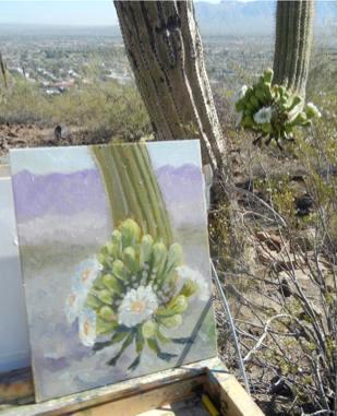 Saguaro's Gift Saguaro's Gift